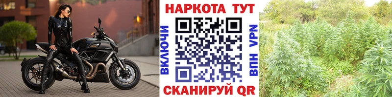 Купить наркотик аптеки Черняховск СК  Cocaine  mega маркетплейс  Конопля  Меф мяу мяу 