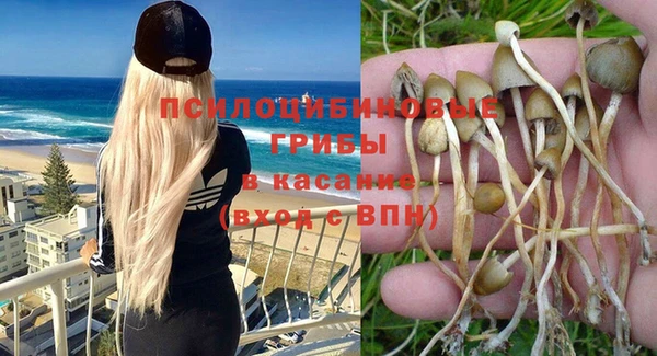 2c-b Михайловск