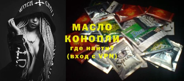 индика Михайлов