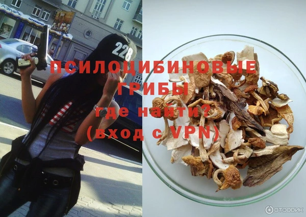 индика Михайлов