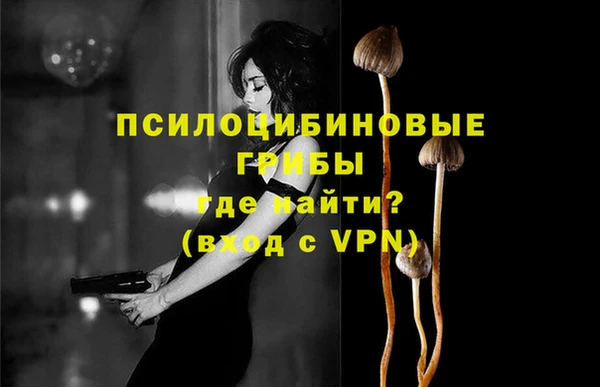 индика Михайлов