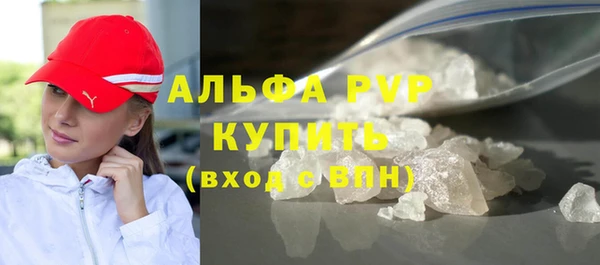 индика Михайлов