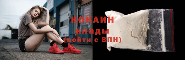 твердый Михайловка