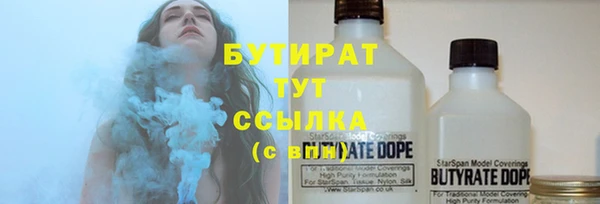 индика Михайлов