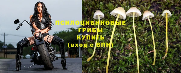 твердый Михайловка