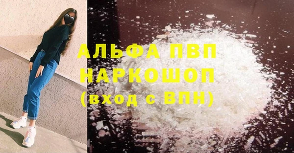 индика Михайлов