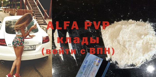 индика Михайлов