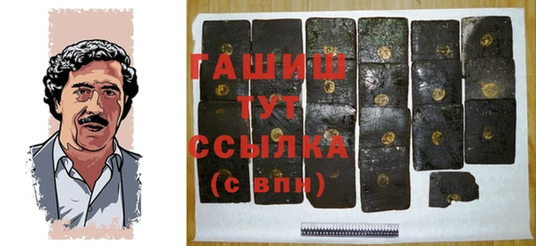 индика Михайлов