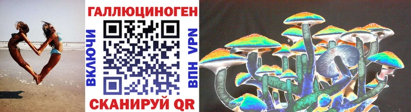 закладка  Черняховск  Галлюциногенные грибы Magic Shrooms 