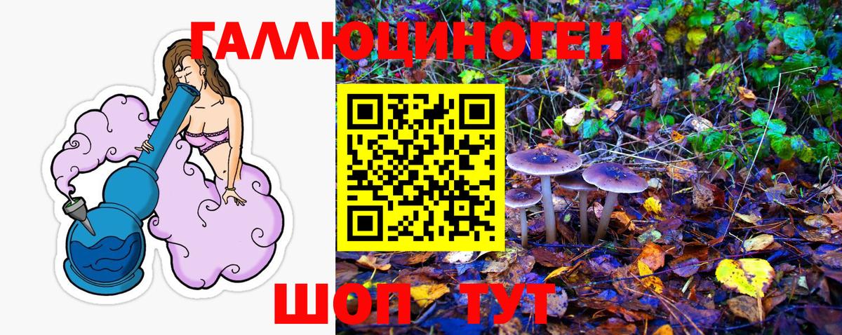 Галлюциногенные грибы мухоморы  Вход с VPN  Псилоцибиновые грибы мицелий  даркнет сайт  Черняховск 