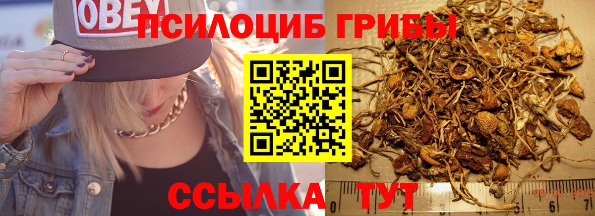 Псилоцибиновые грибы мухоморы Черняховск