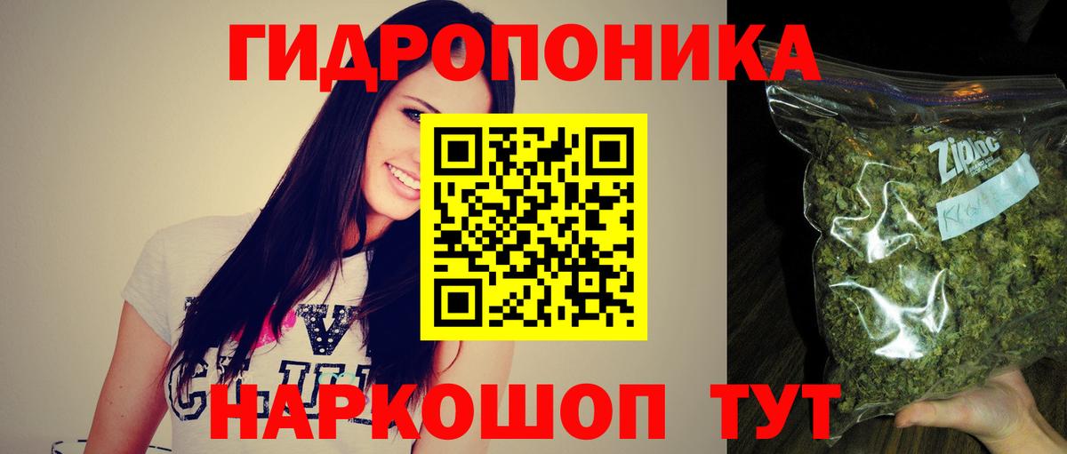 Канабис гибрид Черняховск